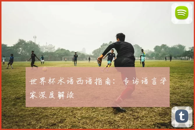 世界杯术语西语指南:专访语言学家深度解读