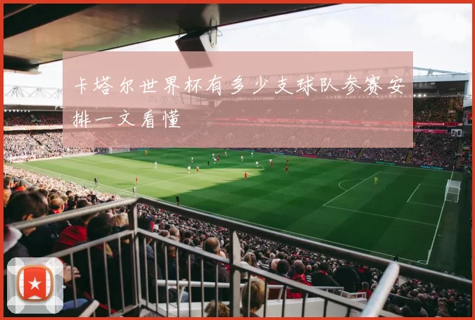 卡塔尔世界杯有多少支球队参赛安排一文看懂