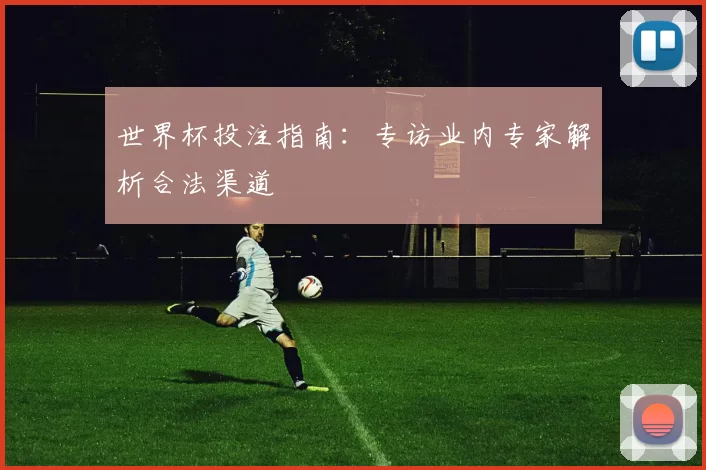 世界杯投注指南:专访业内专家解析合法渠道