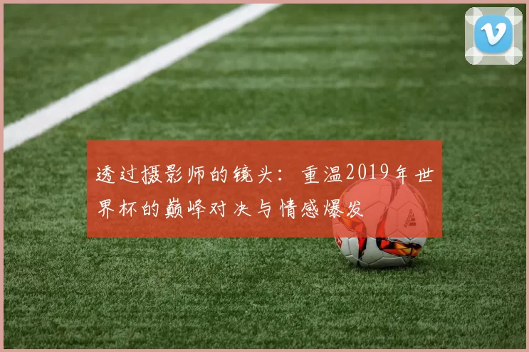 透过摄影师的镜头：重温2019年世界杯的巅峰对决与情感爆发