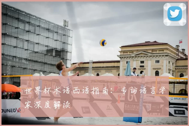世界杯术语西语指南:专访语言学家深度解读