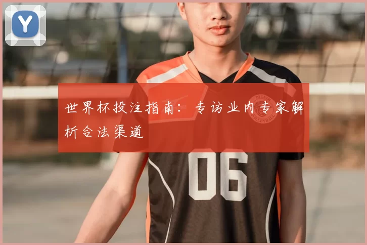 世界杯投注指南:专访业内专家解析合法渠道