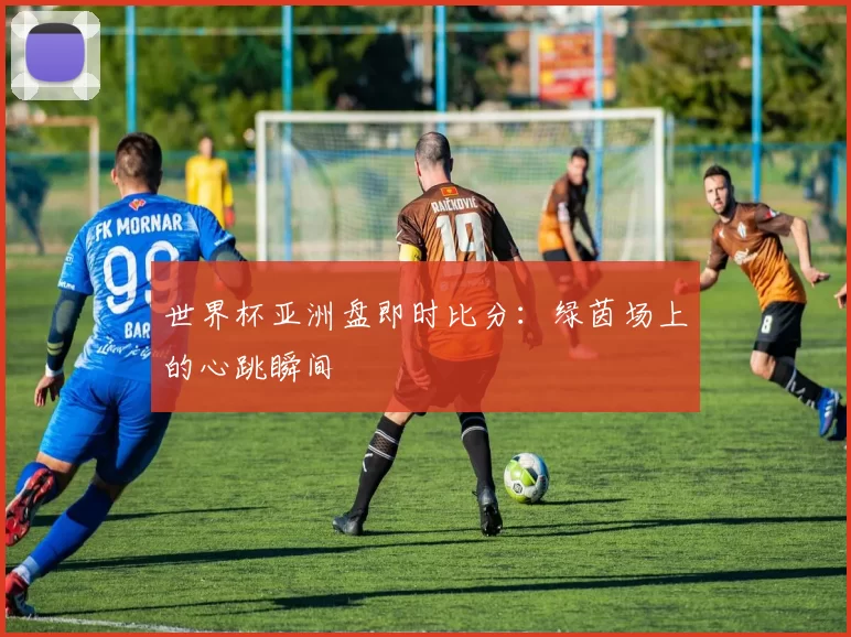世界杯亚洲盘即时比分：绿茵场上的心跳瞬间